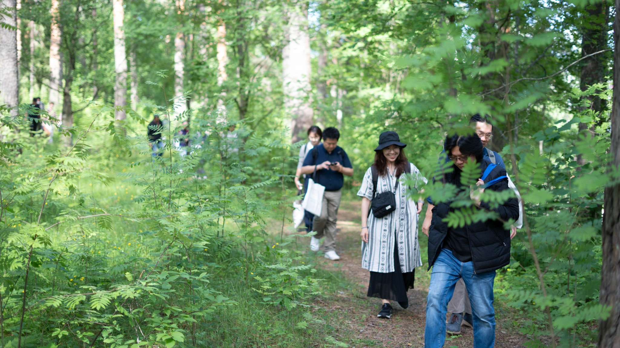Participants walking in a Finnish forest